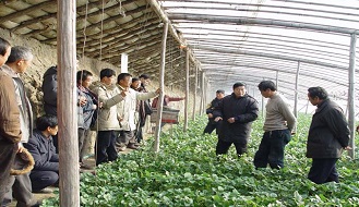 從業40年草莓專家發聲——草莓生產過程不使用乙草胺！