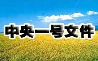 國家大力扶植農業，惠農政策是國家頭號大事