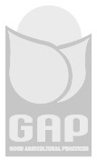 缺水橘農愁臉變笑顏——湖北秭歸推廣應用微潤灌溉側記